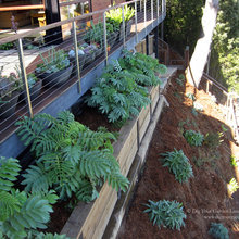 Exterior - Pots