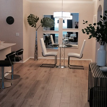 Contemporary Apartment Model in Phoenix