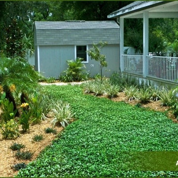 Backyard Porch View