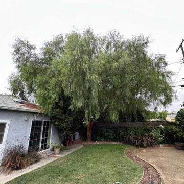 Majestic Tree Care Inc