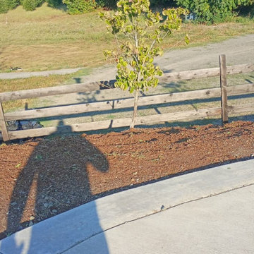 Backyard Landscaping with Decorative Stone