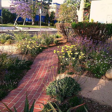 Drought-tolerant garden transformation for English cottage
