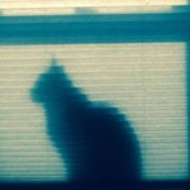 Darlene McManus's photo