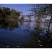 Suraj Chand's photo
