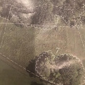 Ana María Cortes's photo