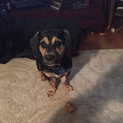 Todd Barfield's photo