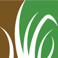 Hedge Landscape's profile photo