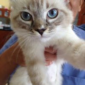 Tom Essie's photo