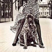Foto de Ashlan Belliston
