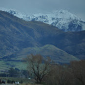 Foto von roshni pius