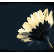 Foto di Jan Blackledge Sheppard