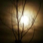 Jacqueline White's photo