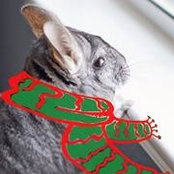 Tracie Brown's photo
