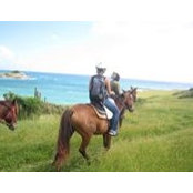 Atlantic Shores Riding Stables's photo