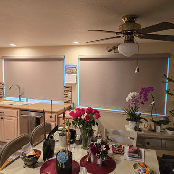 Designer Roller Shades