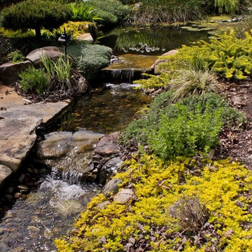 Werner Water Garden