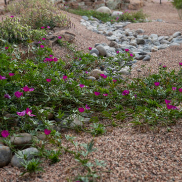 Riverbeds
