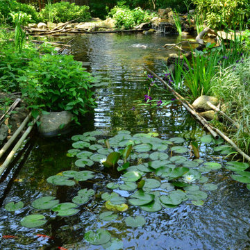 Ponds, Streams & Waterfalls