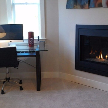 Heatilator Novus Evolution Gas Fireplace