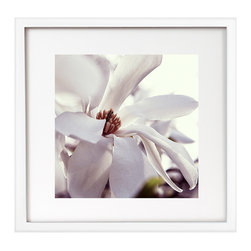 James Houston Design - Nature Series (print only) - Fine Art Prints