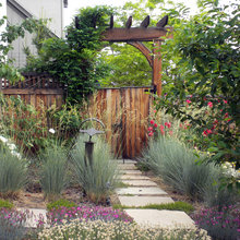 Landscape Ideas
