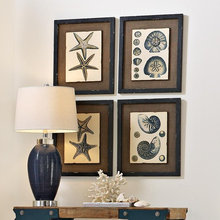 Coastal Design
