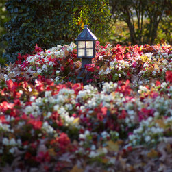 Path Lights for Period Tudor Home - Lighting