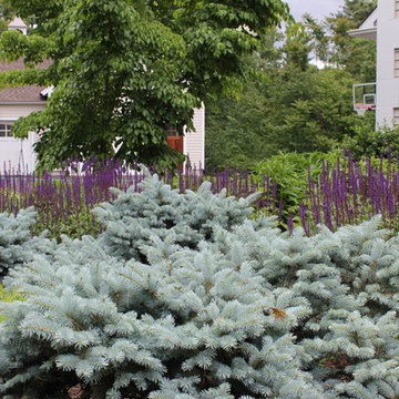 Frontyard Landscape Connecticut
