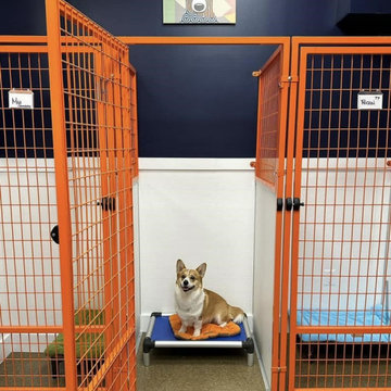 Colorful Kennels and Animal Enclosures