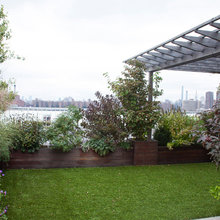 Rear Rooftop Deck