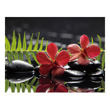 lynnette_lupien's ideas