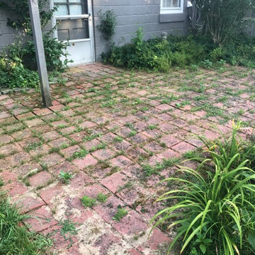 Small Clean Up around house and patio