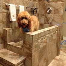 Dog Spa