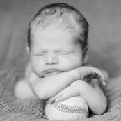 Stephanie Ferch's photo