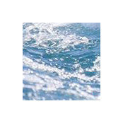 Catherine Dickerman's photo