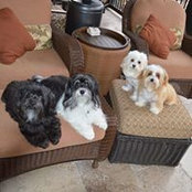 Mary Kruczynski's photo