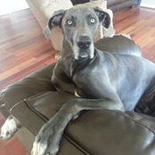 Jaime Wright Battles's photo