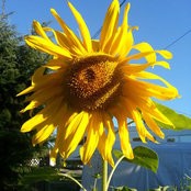 Jenni Stevens's photo