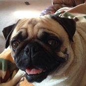 Donna Glueckert's photo