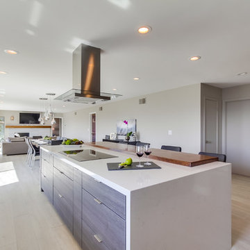 La Mesa_Modern Kitchen_Whole Home Remodel