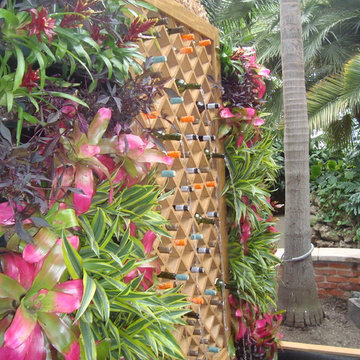 Phipps Conservatory Summer Show 2012 - Fountains
