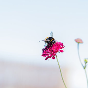 Projekt: Nybyggd sommarstuga, Varberg