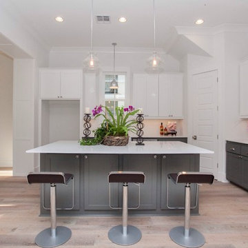 Modern Farmhouse - Audubon Square