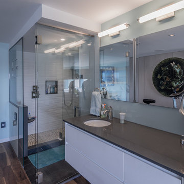 Hopkinson House Penthouse