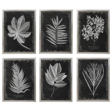 Uttermost Foliage 26 x 34" Framed Leaf Prints Set of 6