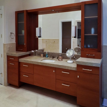 Contemporary veneer bathroom