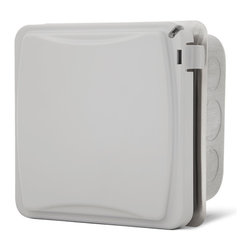 Double Surface Mount with Weatherproof Box (Includes 2 Duplex Switches) - Products