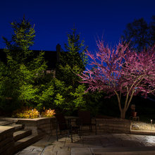 Redbud Oasis