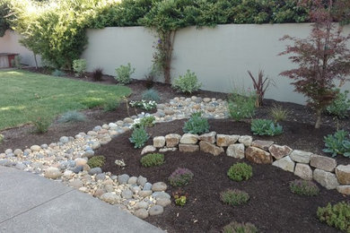 Inspiration for a landscaping in San Francisco.