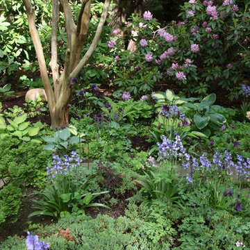 Woodland Garden